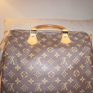 Louis Vuitton Speedy 30 (with purse insert!)